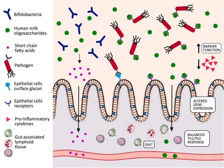 https://cdn.ncbi.nlm.nih.gov/pmc/blobs/f95e/8671521/19cebd34c488/gr2.jpg