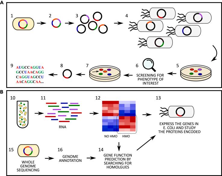 https://cdn.ncbi.nlm.nih.gov/pmc/blobs/f95e/8671521/99192fecdad5/gr4.jpg