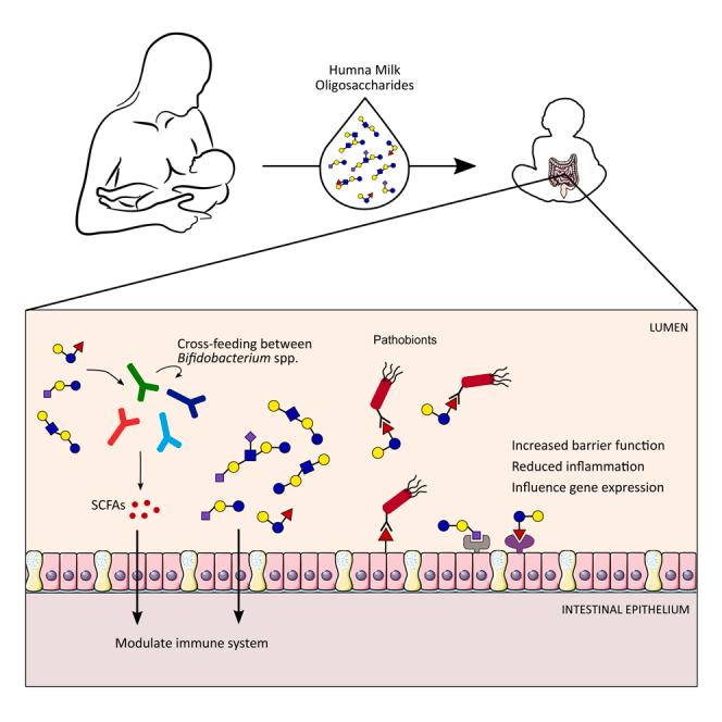 https://cdn.ncbi.nlm.nih.gov/pmc/blobs/f95e/8671521/b6899de4114a/fx1.jpg