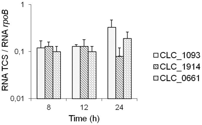 https://cdn.ncbi.nlm.nih.gov/pmc/blobs/f95f/3406050/76ec03ef637a/pone.0041848.g008.jpg