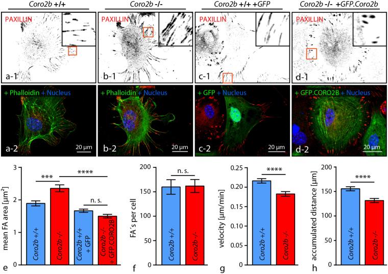 https://cdn.ncbi.nlm.nih.gov/pmc/blobs/f95f/5698439/36f61e4d97fb/41598_2017_15844_Fig6_HTML.jpg