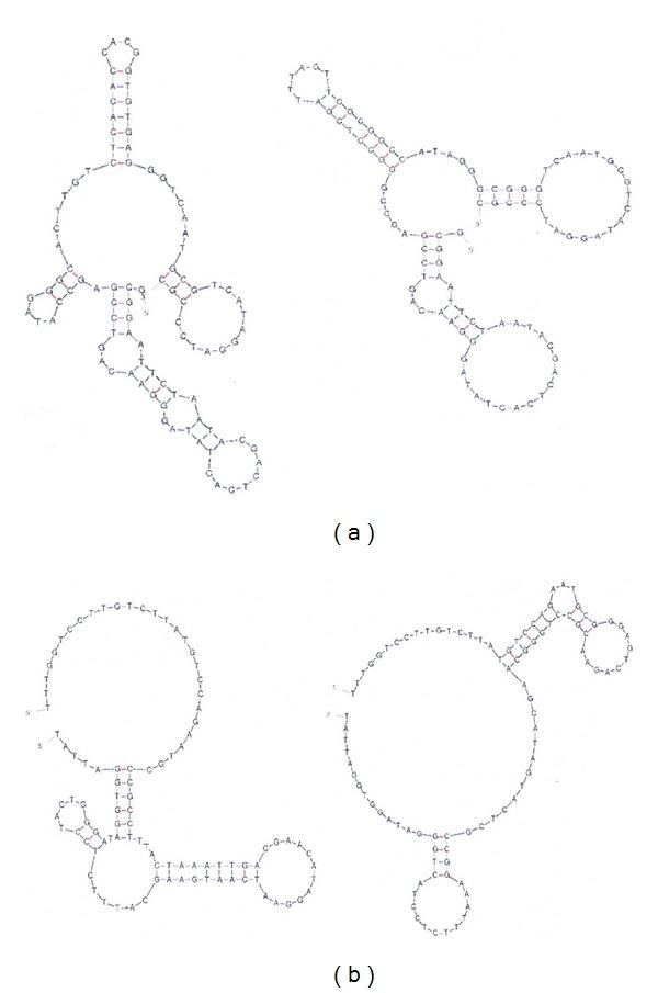 https://cdn.ncbi.nlm.nih.gov/pmc/blobs/f961/3780515/0b301d0a1964/BMRI2013-731516.002.jpg