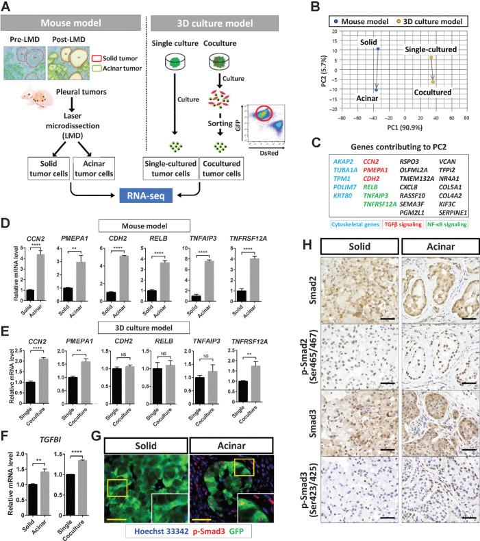 https://cdn.ncbi.nlm.nih.gov/pmc/blobs/f961/9397619/1ab17502307c/4751fig5.jpg