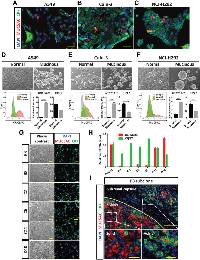 https://cdn.ncbi.nlm.nih.gov/pmc/blobs/f961/9397619/1c5582745cc1/4751fig3.jpg