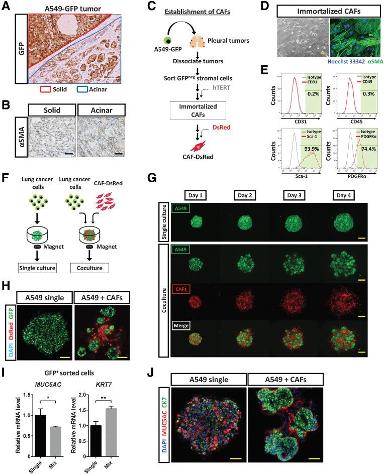 https://cdn.ncbi.nlm.nih.gov/pmc/blobs/f961/9397619/49d565ee03bb/4751fig4.jpg