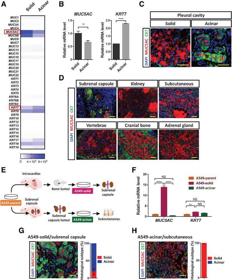https://cdn.ncbi.nlm.nih.gov/pmc/blobs/f961/9397619/56d3dee0cd28/4751fig2.jpg