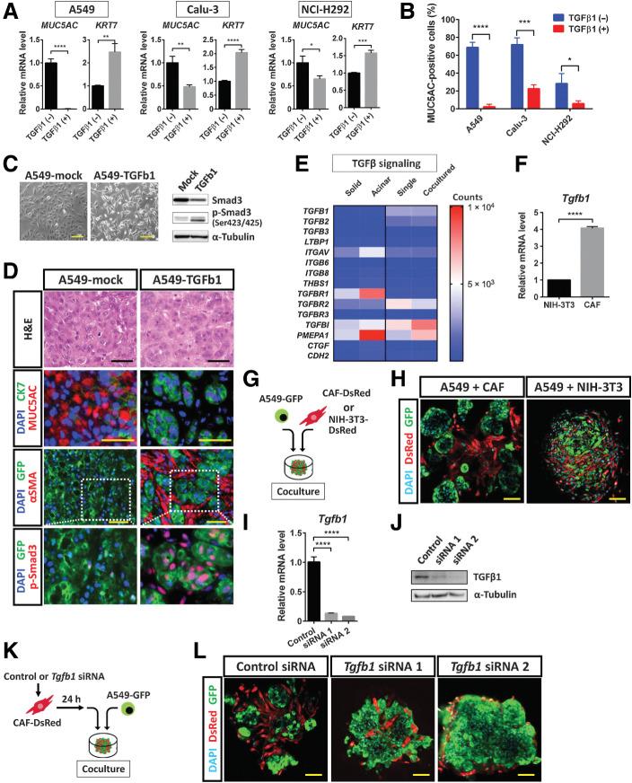 https://cdn.ncbi.nlm.nih.gov/pmc/blobs/f961/9397619/69148ab8ac01/4751fig6.jpg