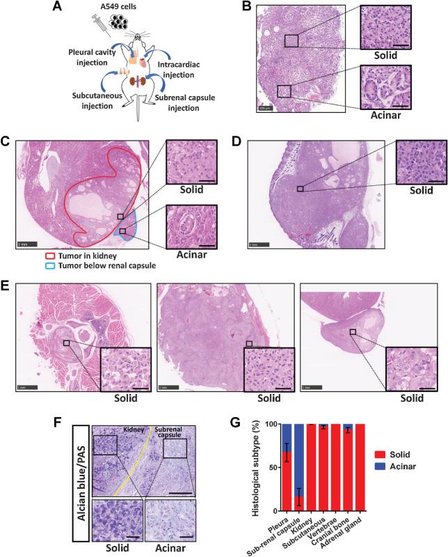 https://cdn.ncbi.nlm.nih.gov/pmc/blobs/f961/9397619/d9f19b08e506/4751fig1.jpg