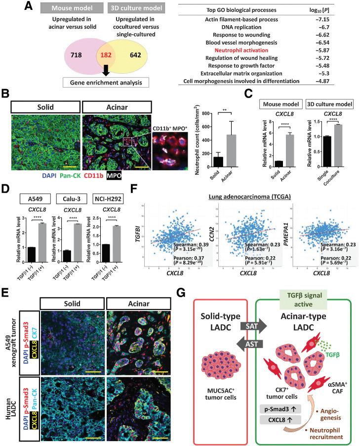 https://cdn.ncbi.nlm.nih.gov/pmc/blobs/f961/9397619/e0a979b84520/4751fig7.jpg