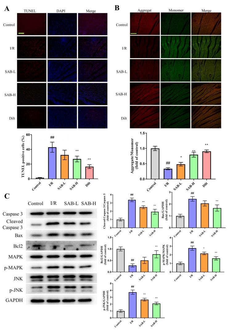 https://cdn.ncbi.nlm.nih.gov/pmc/blobs/f962/10224207/b8b1d025ea74/molecules-28-04117-g004.jpg