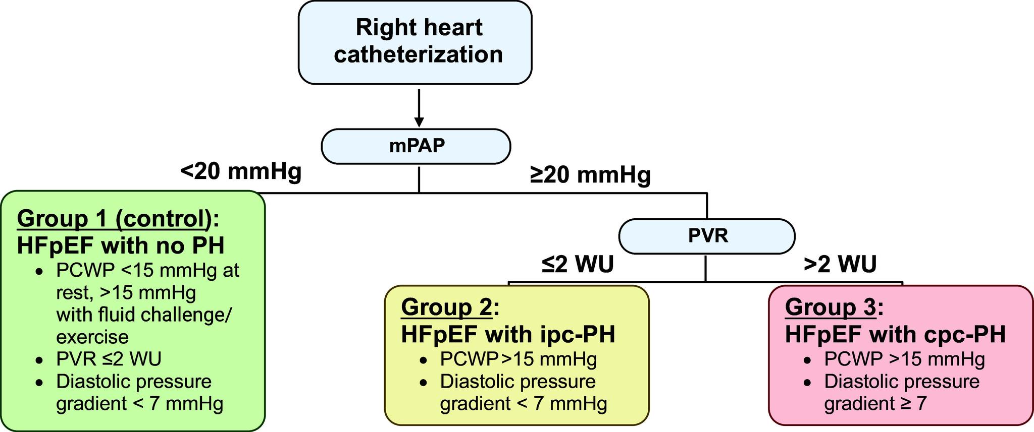 https://cdn.ncbi.nlm.nih.gov/pmc/blobs/f964/11380948/09140807f52a/ajpheart.00068.2024_f001.jpg