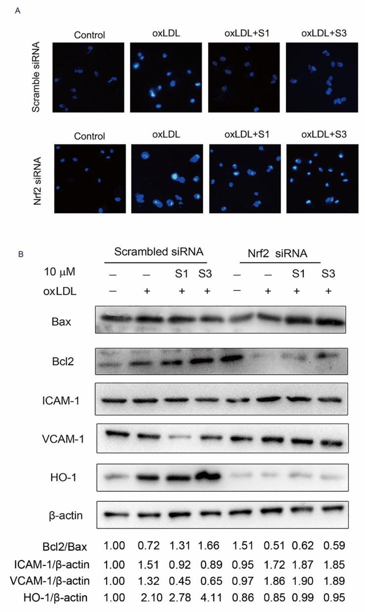 https://cdn.ncbi.nlm.nih.gov/pmc/blobs/f964/8951125/15381255def1/molecules-27-01990-g008.jpg