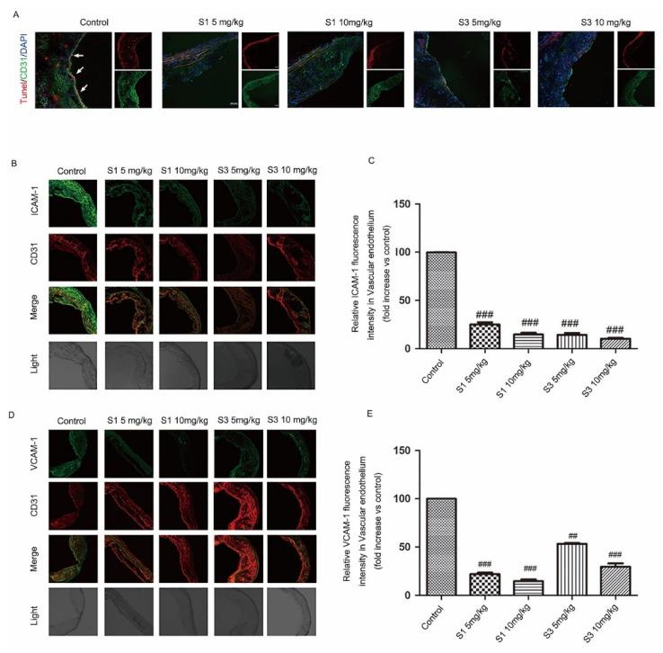 https://cdn.ncbi.nlm.nih.gov/pmc/blobs/f964/8951125/e92f470d0706/molecules-27-01990-g003.jpg
