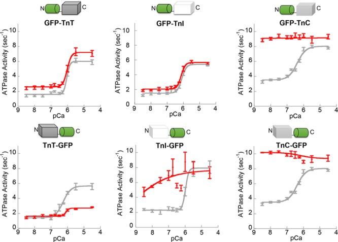 https://cdn.ncbi.nlm.nih.gov/pmc/blobs/f965/6485313/3be3cfd3779b/res-124-1228-g003.jpg