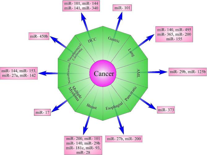 https://cdn.ncbi.nlm.nih.gov/pmc/blobs/f966/11225148/7874bb34bf61/12935_2024_3430_Fig1_HTML.jpg