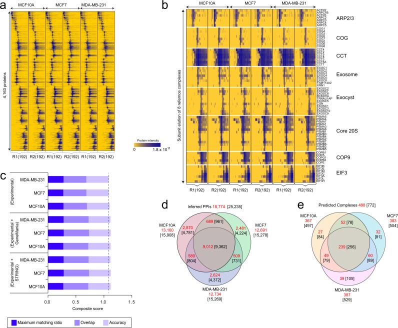 https://cdn.ncbi.nlm.nih.gov/pmc/blobs/f967/9279285/1114904cdcb0/41467_2022_31809_Fig2_HTML.jpg