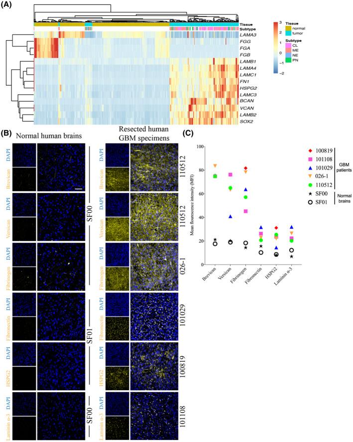 https://cdn.ncbi.nlm.nih.gov/pmc/blobs/f968/8412081/2d3eed07412d/BPA-31-e12947-g007.jpg