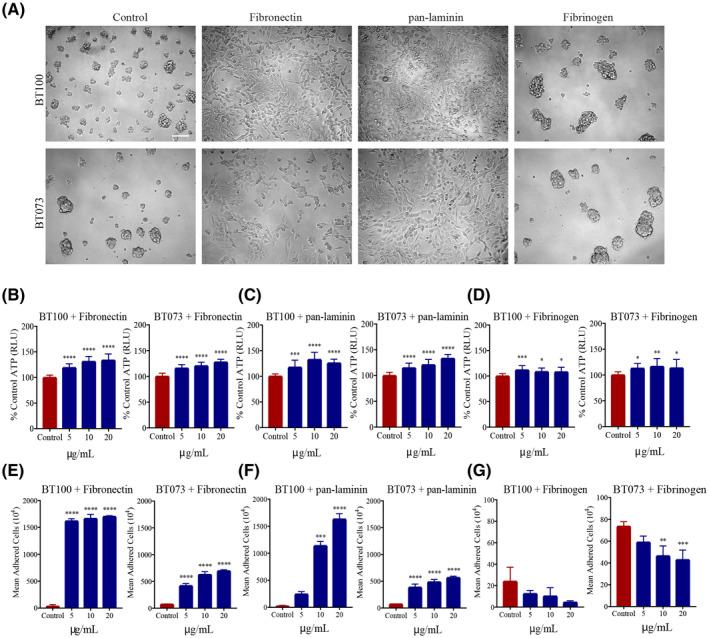 https://cdn.ncbi.nlm.nih.gov/pmc/blobs/f968/8412081/b3021456be48/BPA-31-e12947-g001.jpg
