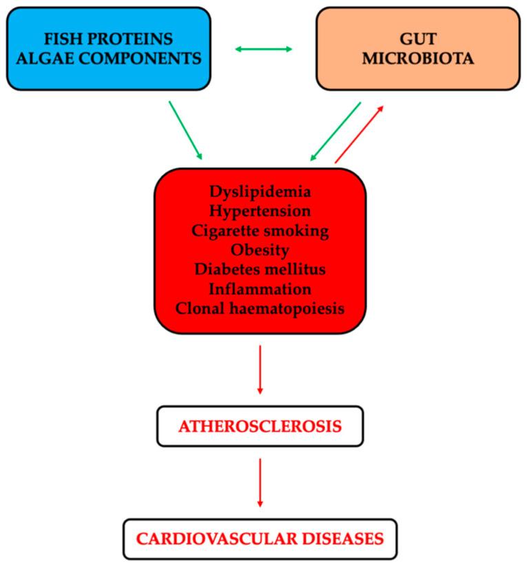 https://cdn.ncbi.nlm.nih.gov/pmc/blobs/f969/11595733/55ecf8bcc886/marinedrugs-22-00523-g001.jpg