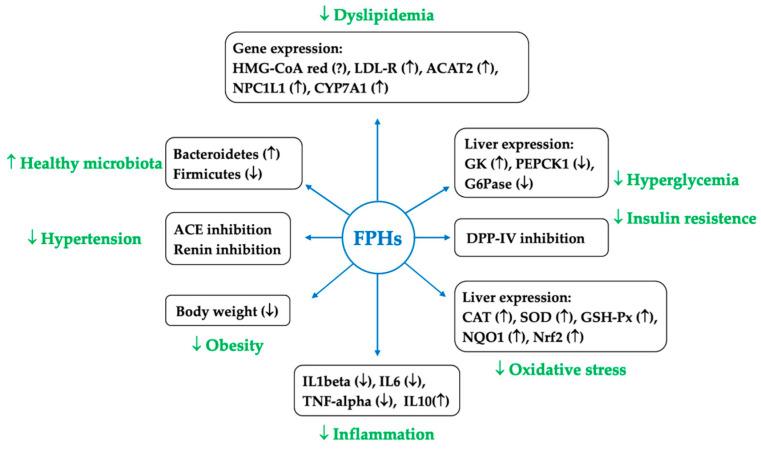 https://cdn.ncbi.nlm.nih.gov/pmc/blobs/f969/11595733/be832d219fbd/marinedrugs-22-00523-g002.jpg