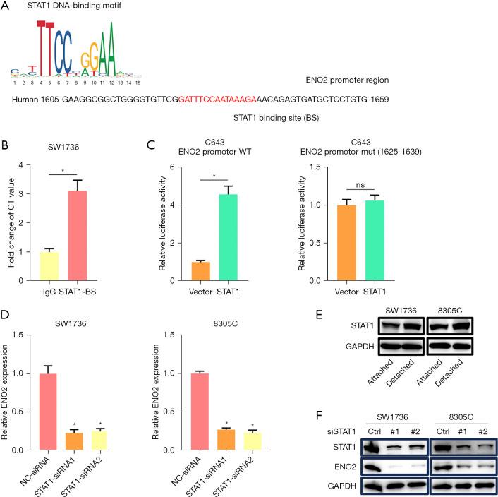 https://cdn.ncbi.nlm.nih.gov/pmc/blobs/f96c/10915417/7c07a5b5e8a6/gs-13-02-209-f4.jpg