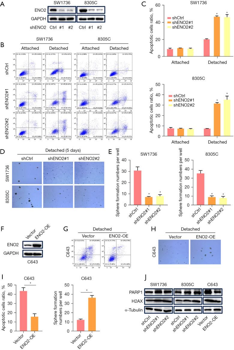 https://cdn.ncbi.nlm.nih.gov/pmc/blobs/f96c/10915417/8741ba2a9298/gs-13-02-209-f2.jpg