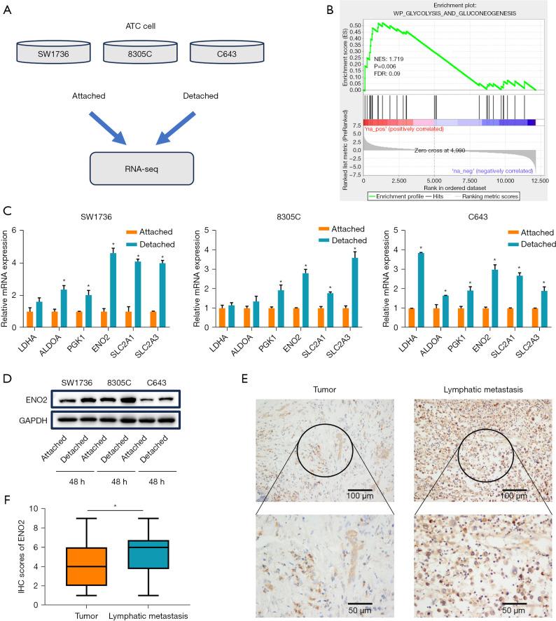 https://cdn.ncbi.nlm.nih.gov/pmc/blobs/f96c/10915417/95259d474b45/gs-13-02-209-f1.jpg