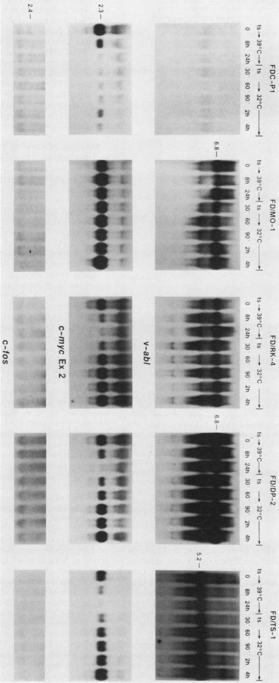 https://cdn.ncbi.nlm.nih.gov/pmc/blobs/f96e/363740/7aae608e64c3/molcellb00060-0425-a.jpg