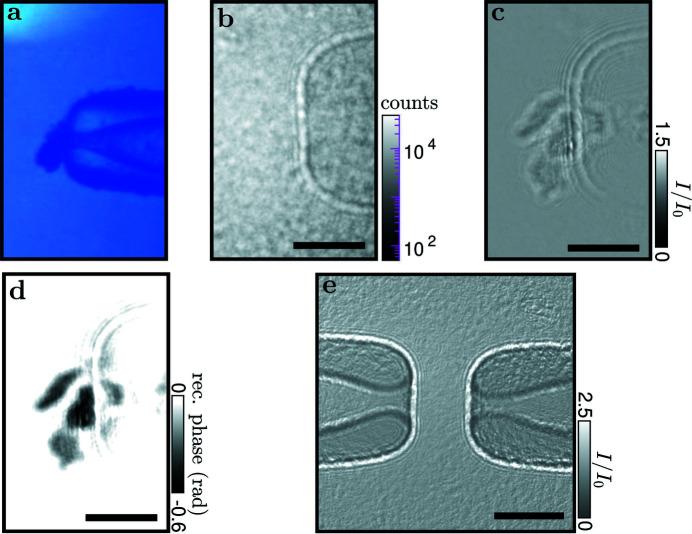 https://cdn.ncbi.nlm.nih.gov/pmc/blobs/f96f/10325018/3275845dc962/s-30-00788-fig4.jpg