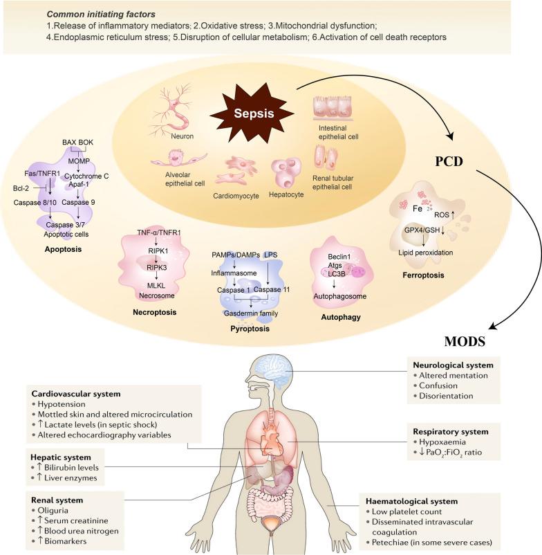 https://cdn.ncbi.nlm.nih.gov/pmc/blobs/f970/11761187/34ec14b02b58/13054_2025_5278_Fig1_HTML.jpg