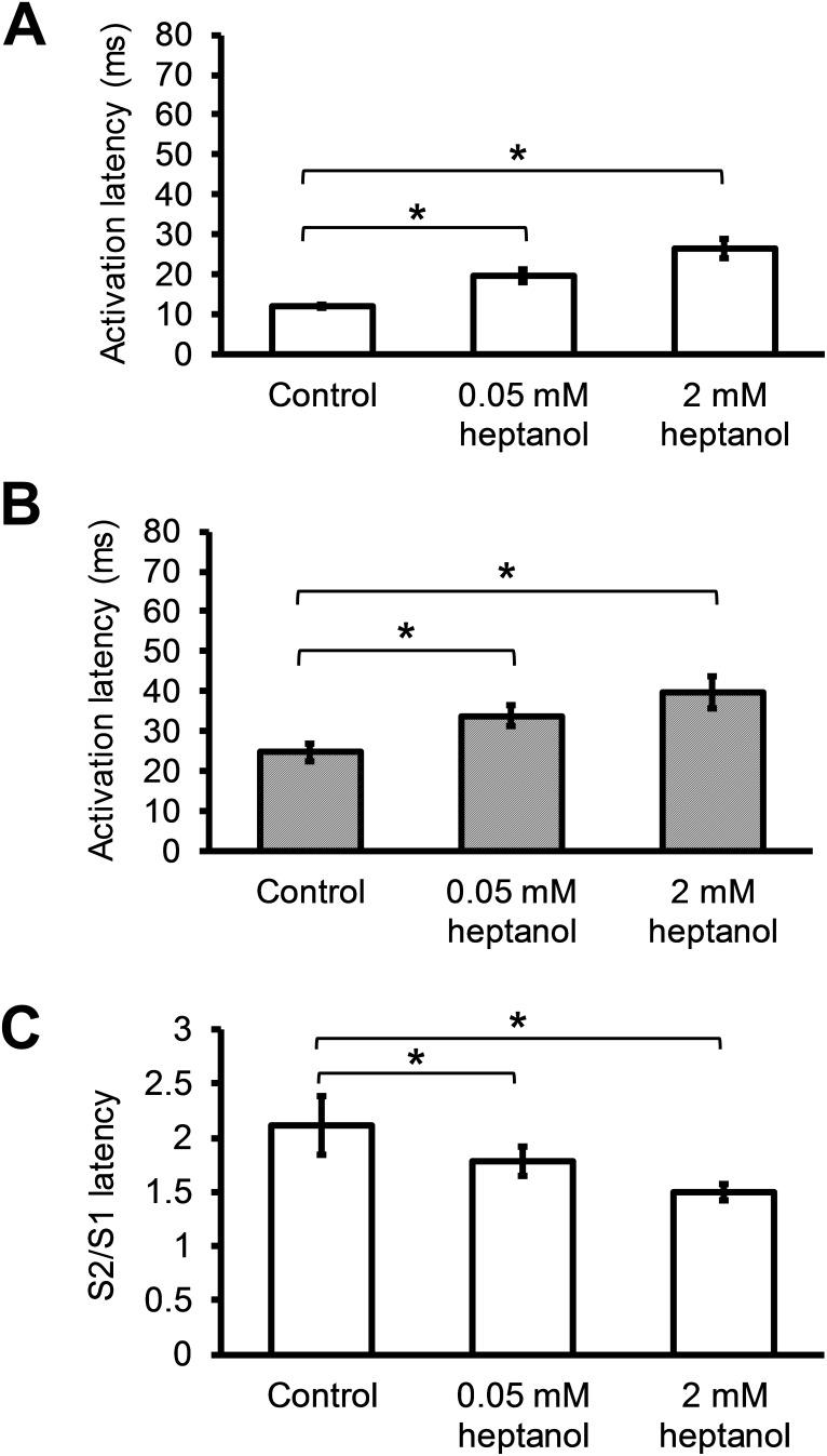 https://cdn.ncbi.nlm.nih.gov/pmc/blobs/f970/5689613/813177a34e34/oncotarget-08-85341-g005.jpg