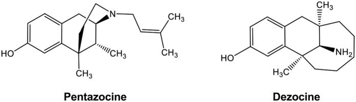 https://cdn.ncbi.nlm.nih.gov/pmc/blobs/f972/5322378/eaa32dddaaf6/srep43137-f1.jpg