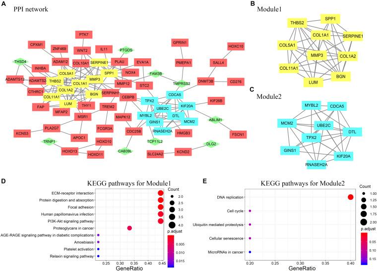 https://cdn.ncbi.nlm.nih.gov/pmc/blobs/f972/7758294/1ba31427a8ad/fgene-11-521004-g004.jpg
