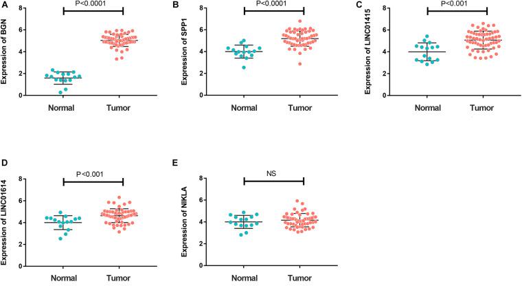 https://cdn.ncbi.nlm.nih.gov/pmc/blobs/f972/7758294/3000ac25a3cc/fgene-11-521004-g006.jpg