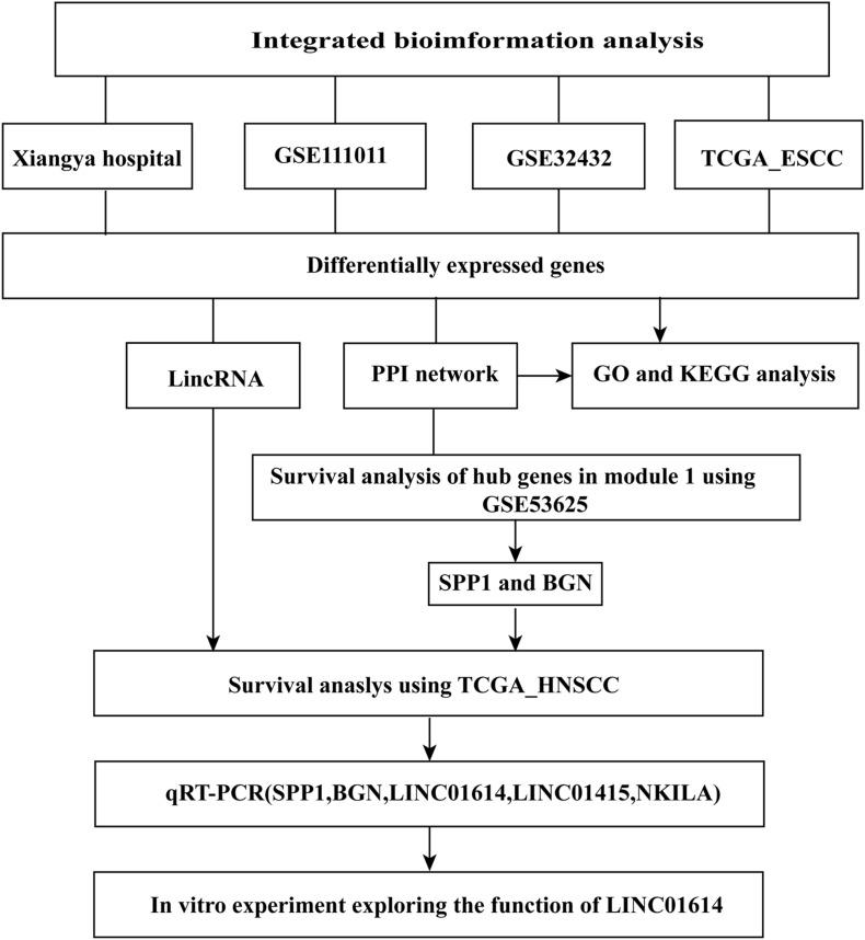 https://cdn.ncbi.nlm.nih.gov/pmc/blobs/f972/7758294/dee024076aed/fgene-11-521004-g001.jpg