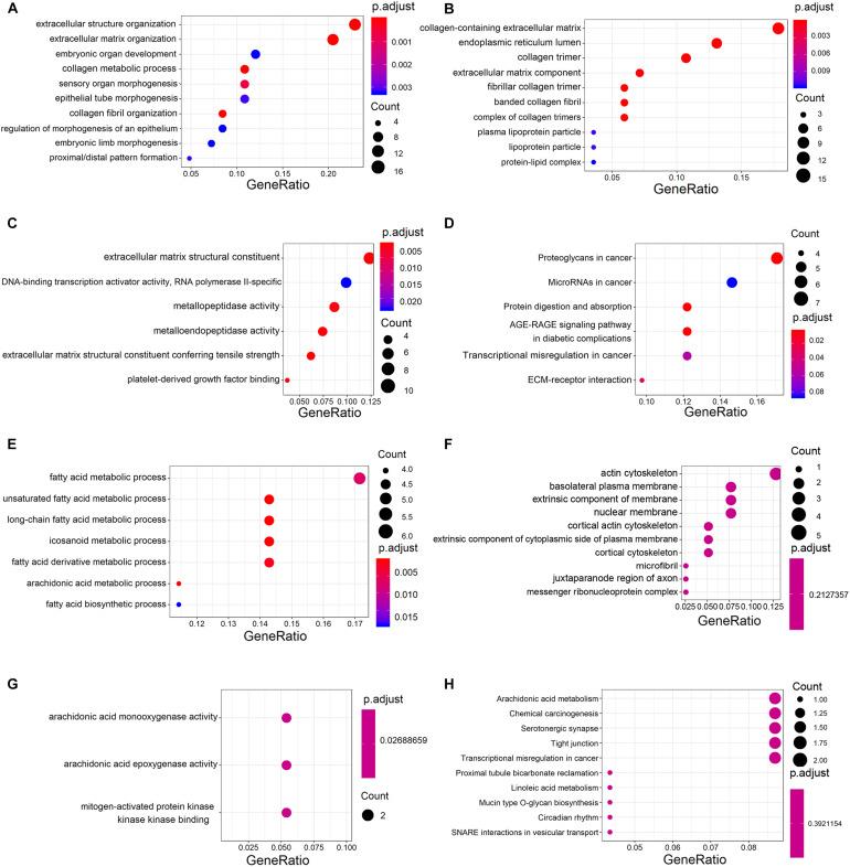 https://cdn.ncbi.nlm.nih.gov/pmc/blobs/f972/7758294/edd3e4ebd01a/fgene-11-521004-g003.jpg