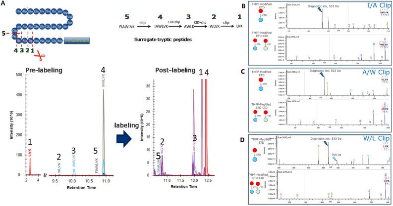 https://cdn.ncbi.nlm.nih.gov/pmc/blobs/f975/10616084/f1905b088eac/41598_2023_45446_Fig6_HTML.jpg