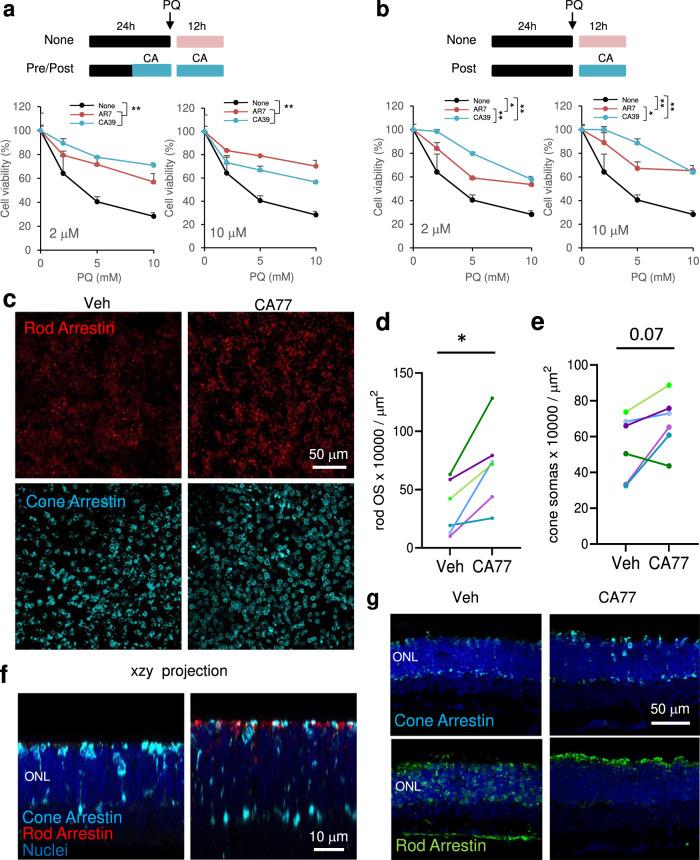 https://cdn.ncbi.nlm.nih.gov/pmc/blobs/f976/9304322/5cd75b559da7/41467_2022_31869_Fig5_HTML.jpg