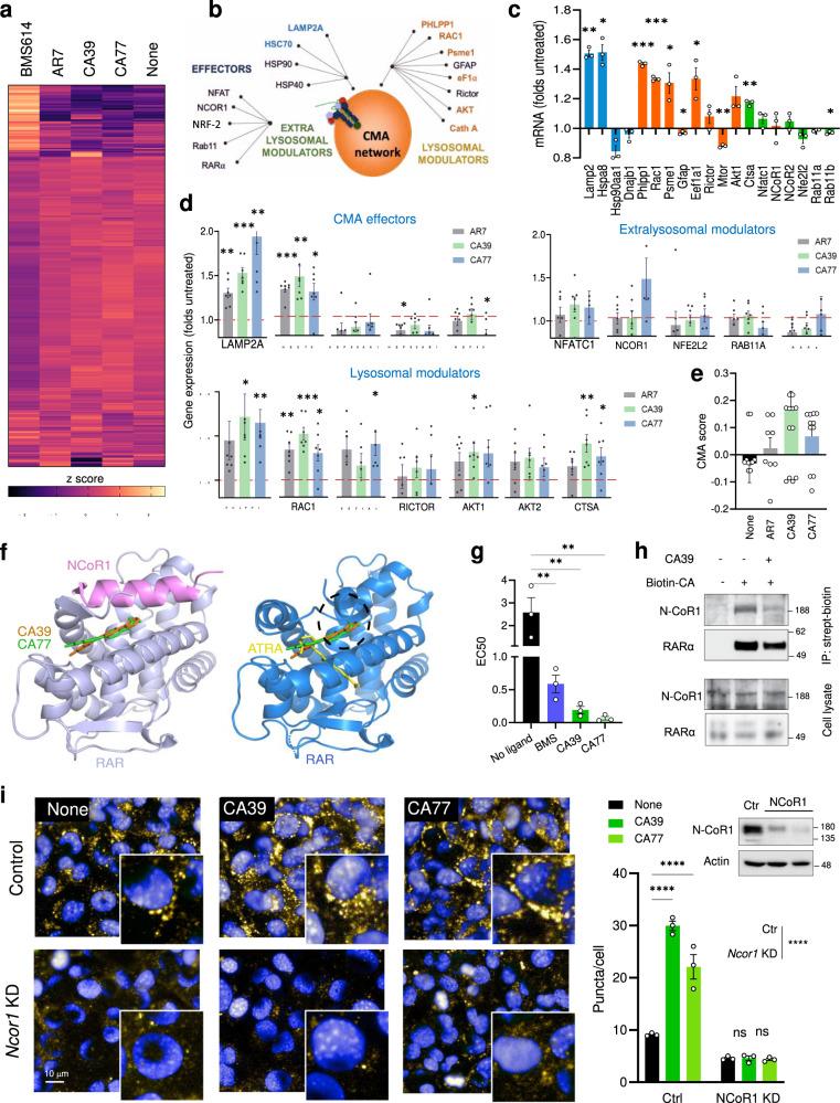https://cdn.ncbi.nlm.nih.gov/pmc/blobs/f976/9304322/dbd7713ddf8e/41467_2022_31869_Fig2_HTML.jpg