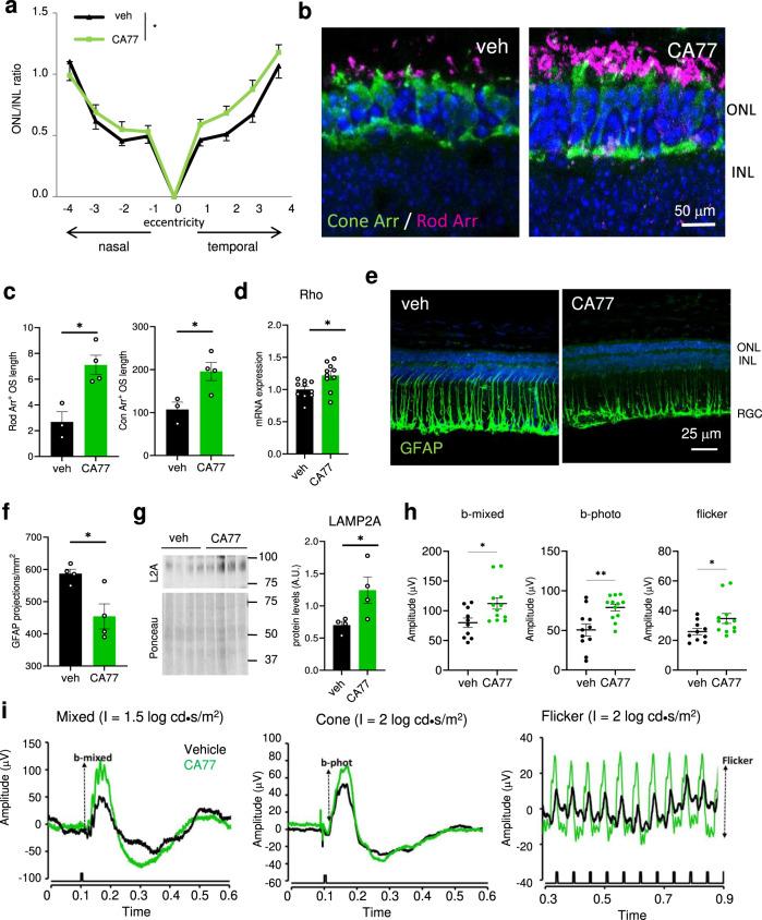 https://cdn.ncbi.nlm.nih.gov/pmc/blobs/f976/9304322/eeecd15d7a3e/41467_2022_31869_Fig6_HTML.jpg