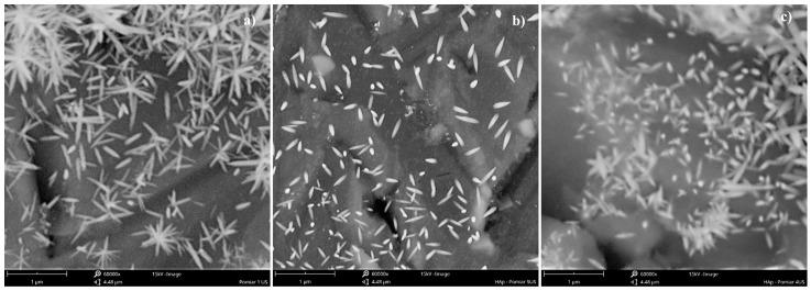 https://cdn.ncbi.nlm.nih.gov/pmc/blobs/f978/11242516/ca441e270ce6/materials-17-03240-g004.jpg