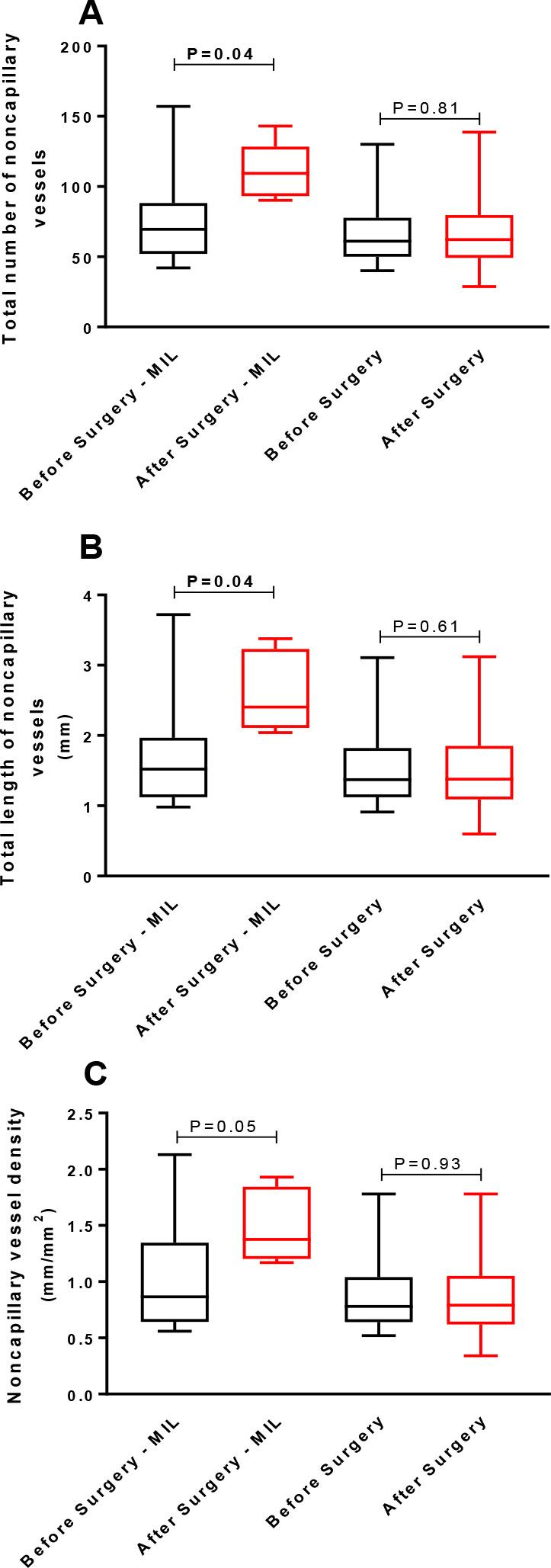 https://cdn.ncbi.nlm.nih.gov/pmc/blobs/f979/12175618/fb376657fda2/bjcvs-40-04-e20240039-g05.jpg