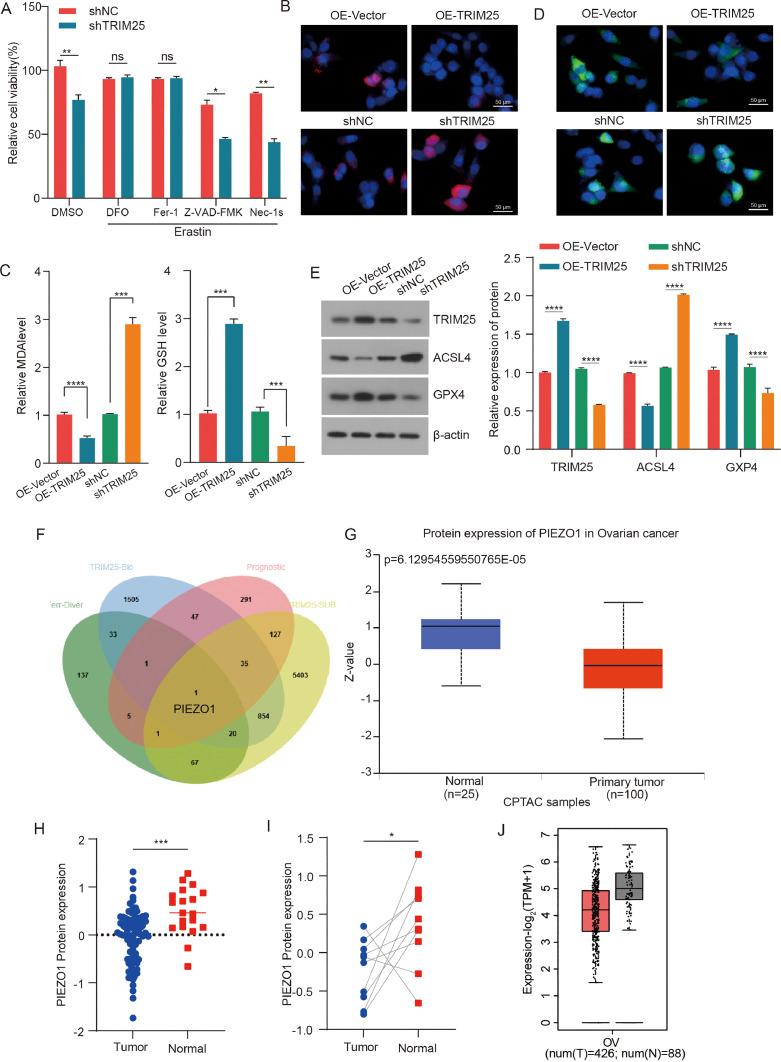 https://cdn.ncbi.nlm.nih.gov/pmc/blobs/f97d/12033990/083782702d27/gr3.jpg