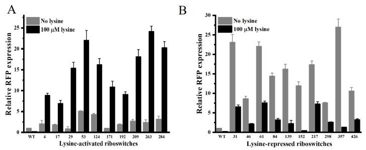 https://cdn.ncbi.nlm.nih.gov/pmc/blobs/f97e/10974012/01c038ee68b3/microorganisms-12-00606-g004.jpg