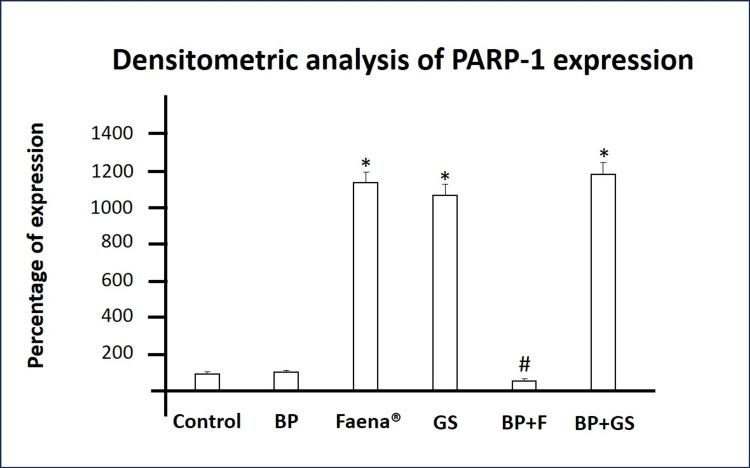https://cdn.ncbi.nlm.nih.gov/pmc/blobs/f97e/11685793/e2130cf1778e/cureus-0016-00000074701-i04.jpg
