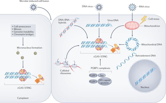 https://cdn.ncbi.nlm.nih.gov/pmc/blobs/f97e/9214686/9f3923c23ad8/41581_2022_589_Fig3_HTML.jpg