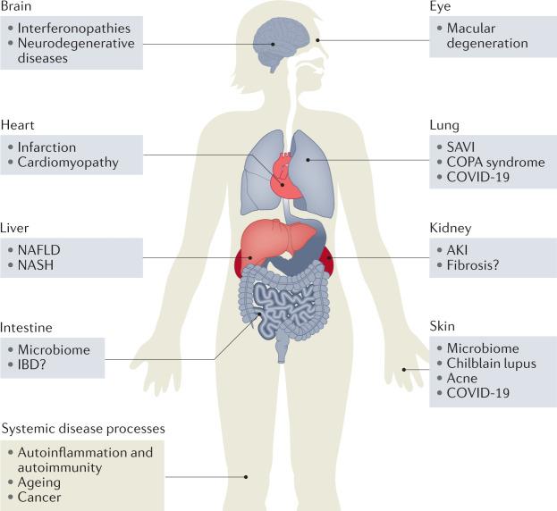https://cdn.ncbi.nlm.nih.gov/pmc/blobs/f97e/9214686/ecc0a0ef99d5/41581_2022_589_Fig1_HTML.jpg