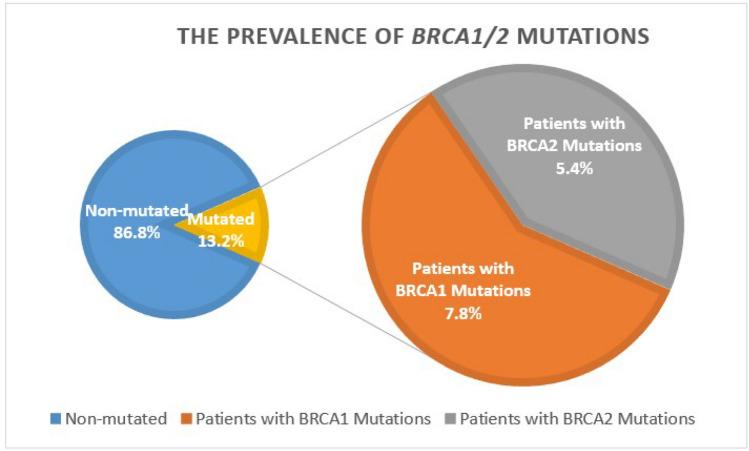 https://cdn.ncbi.nlm.nih.gov/pmc/blobs/f982/12069179/6cf19e67d612/12672_2025_2192_Fig1_HTML.jpg