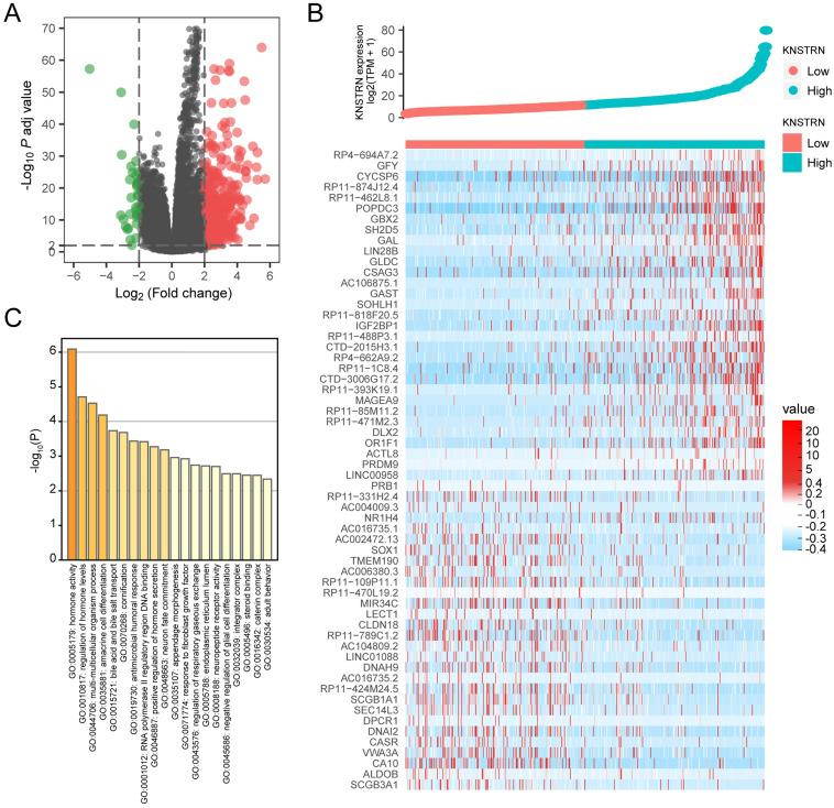 https://cdn.ncbi.nlm.nih.gov/pmc/blobs/f984/8100810/c484004cd908/jcav12p3239g004.jpg