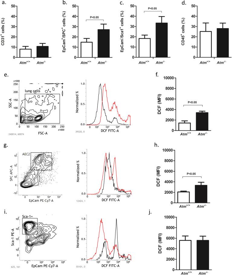 https://cdn.ncbi.nlm.nih.gov/pmc/blobs/f985/5975220/f1c6a3a3f9d9/gr1.jpg